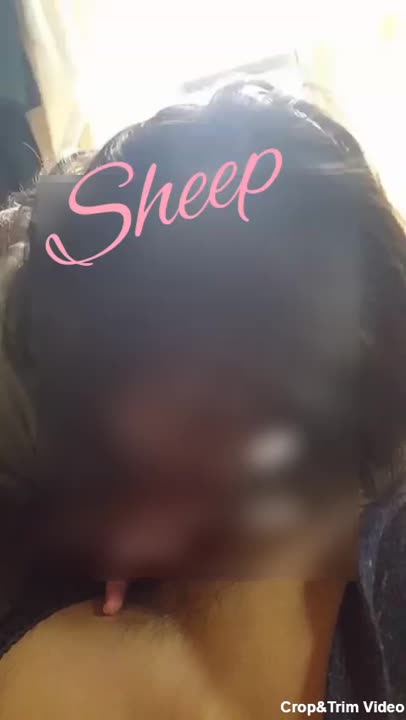 ݤ44 by.Sheep