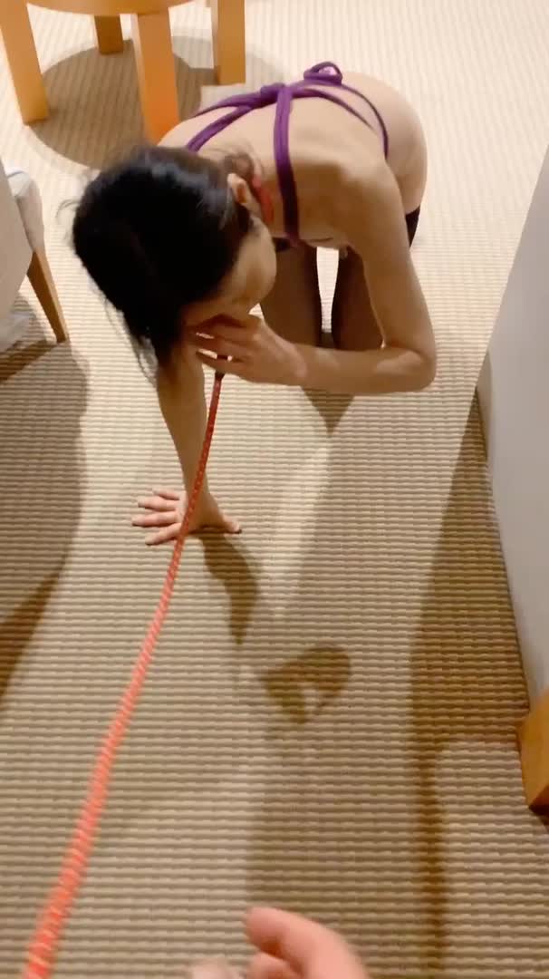 雌犬奴隷　 